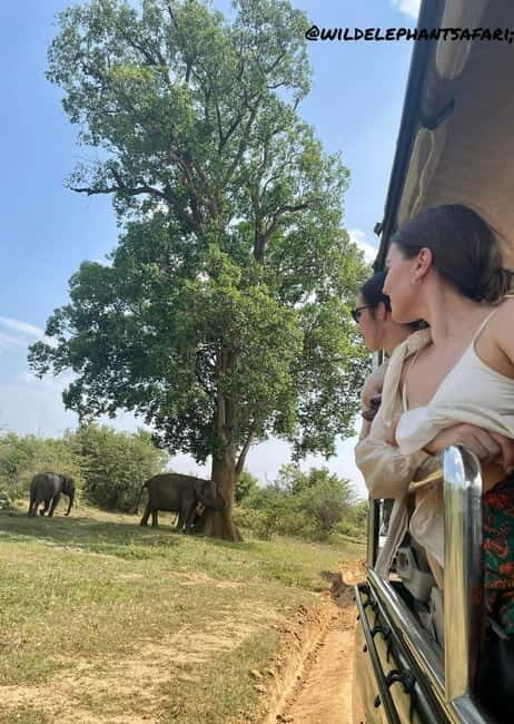 From Tangalle/ Hiriketiya: Yala Safari with Drop: Ella - Final Thoughts