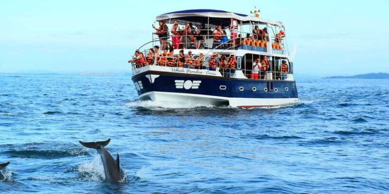 from-tangalle-mirissa-whale-watching-tour-with-breakfast