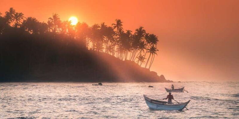 from-tangalle-mirissa-whale-watching-tour-with-breakfast