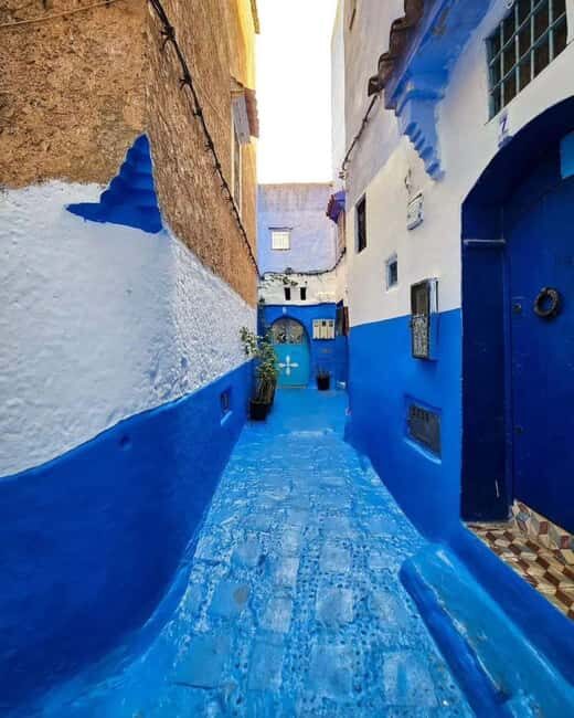 From Tangier: Asilah Tour with Tea Tasting & Camel Ride - A Deep Dive Into the Day Trip Experience
