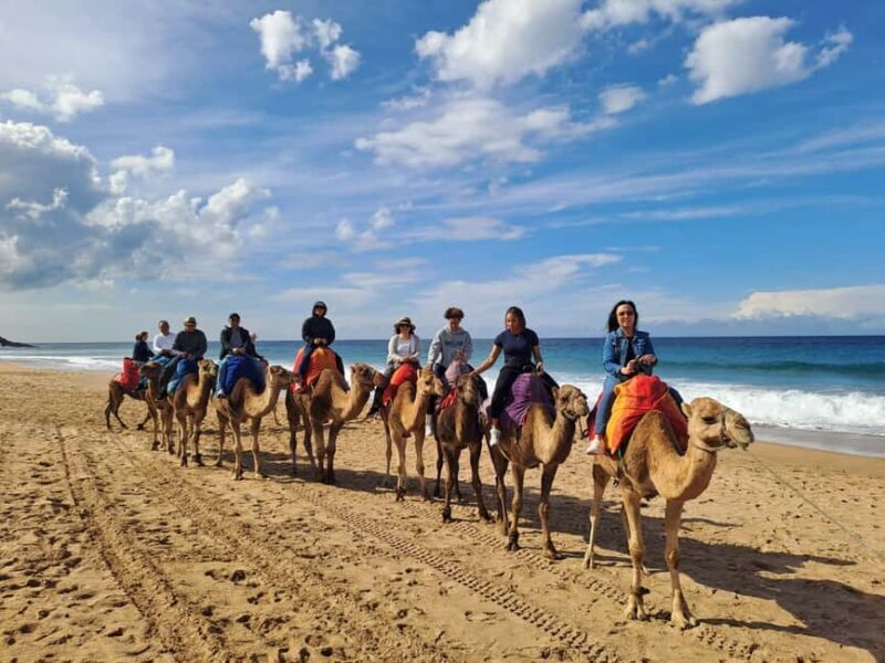 From Tangier: Cap Spartel and Hercules Cave with Camel Ride - A Balanced Breakdown of the Tour