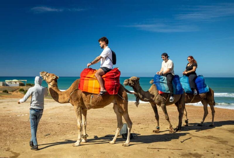 From Tangier: Cap Spartel and Hercules Cave with Camel Ride - Authentic Feedback from Travelers  