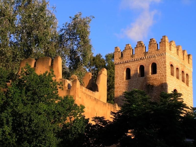 From Tangier: Chefchaouen Guided Full-Day Trip - Key Points