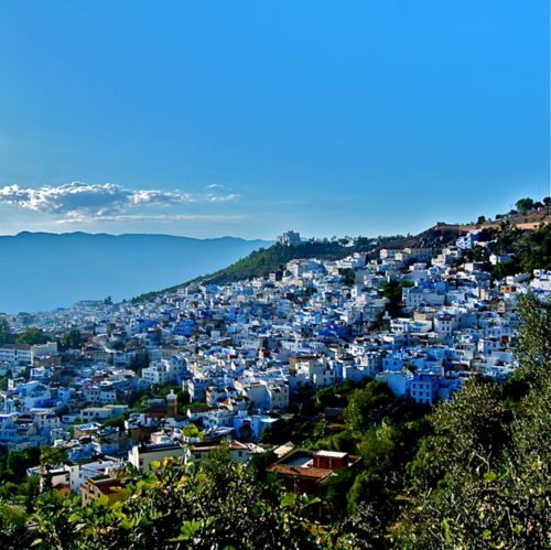 From Tangier: Chefchaouen Guided Full-Day Trip - Value for Money and What to Expect for $73