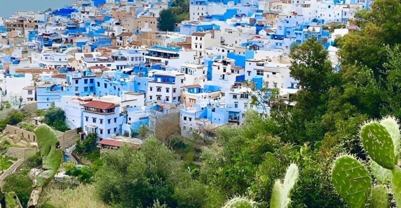 From Tangier: Chefchaouen Private Day Tour - Key Points