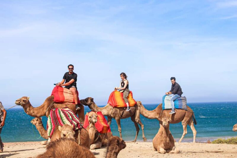 From Tangier: Full-Day Tangier, Asilah, & Cape Spartel Tour - Key Points