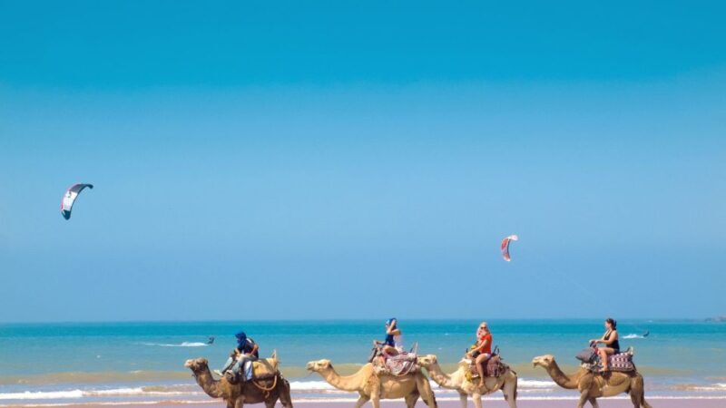 From Tangier: Full-Day Tangier, Asilah, & Cape Spartel Tour - The Complete Breakdown of the Tour Experience