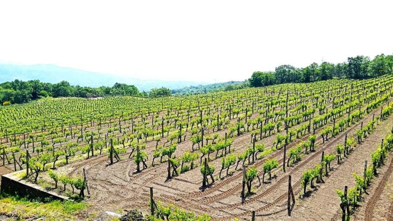 from-taormina-etna-snowshoe-walking-food-and-wine-tasting