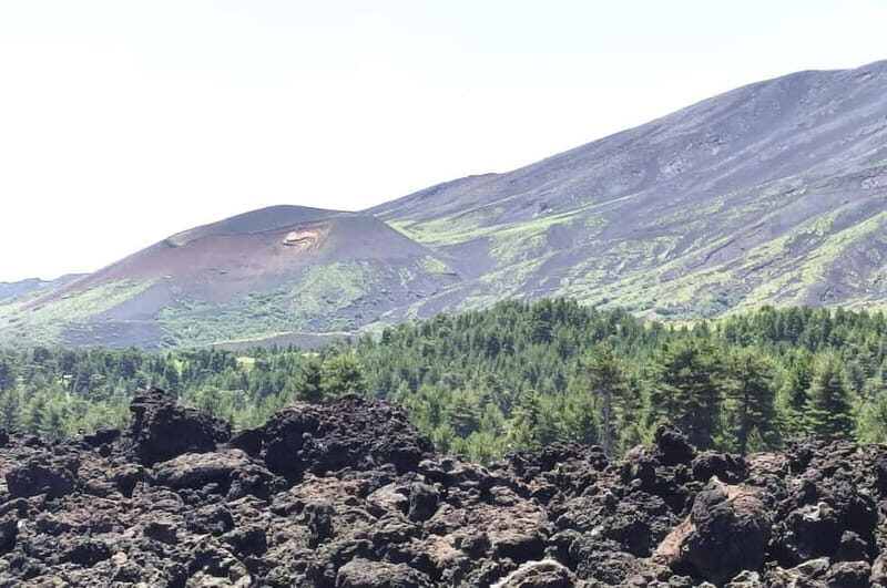 From Taormina: Etna Walking Tour and Wine Tasting in Winery - An In-Depth Look at the Tour