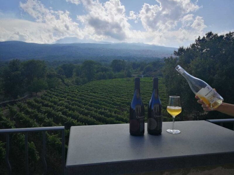 from-taormina-etna-wineries-small-group-tour