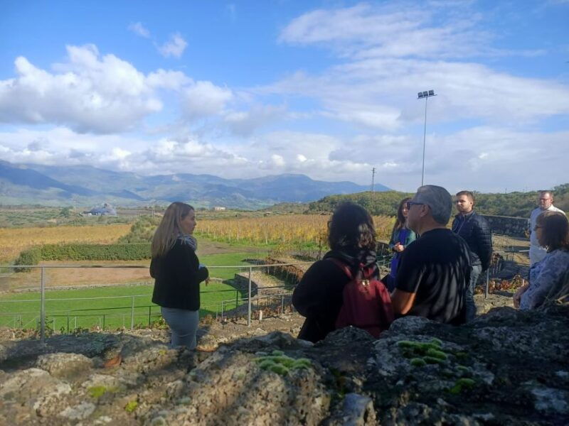 from-taormina-etna-wineries-small-group-tour