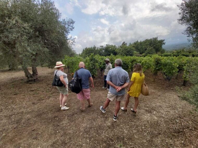 from-taormina-etna-wineries-small-group-tour