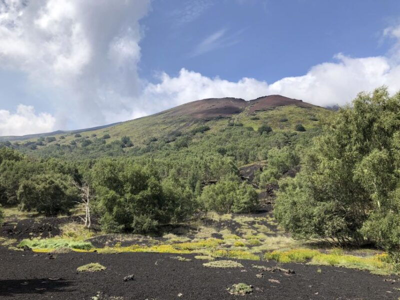 from-taormina-full-day-etna-wine-alcantara-canyons-tour