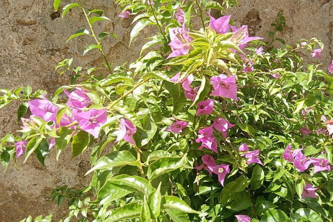 from-taormina-godfather-private-tour-forza-dagro-and-savoca