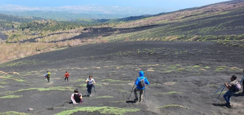 From Taormina: Guided Trip to Mt. Etna and Alcantara Gorges - Who Should Book This Tour?