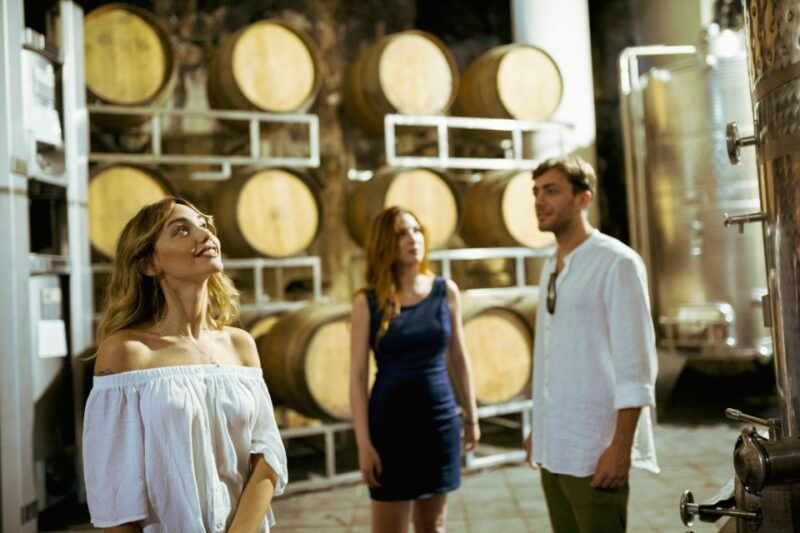 from-taormina-mount-etna-food-and-wine-tasting-tour