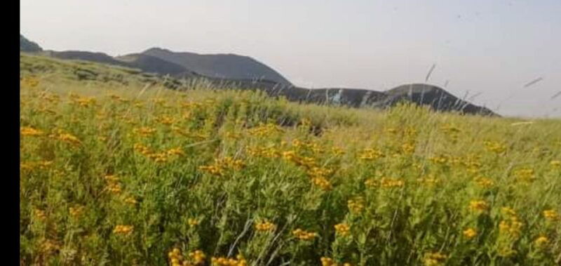 from-taormina-naxos-letojanni-mount-etna-half-day-trip