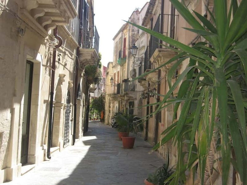 From Taormina: Syracuse Tour with lunch in Food Market - Who Will Enjoy This Tour?