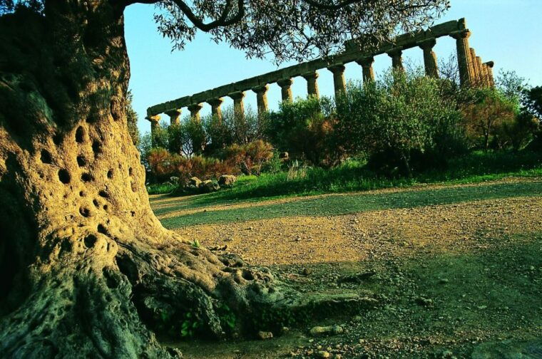 from-taormina-valley-of-the-temples-piazza-armerina-tour