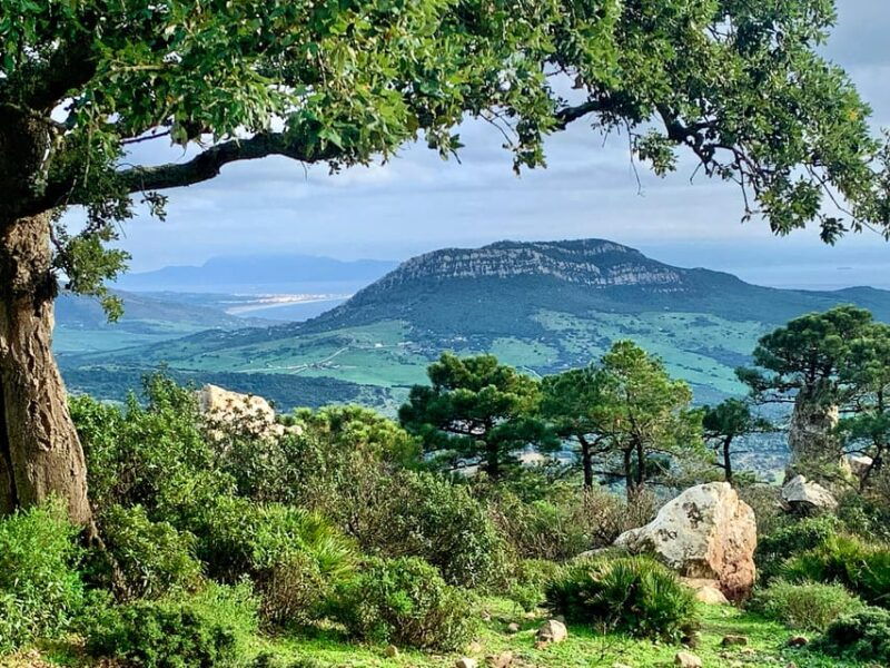 from-tarifa-guided-hiking-tour-in-the-strait-natural-park