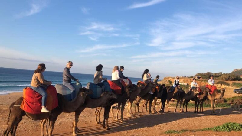 From Tarifa: Tangier full day Trip with guide - Who Will Love This Tour?