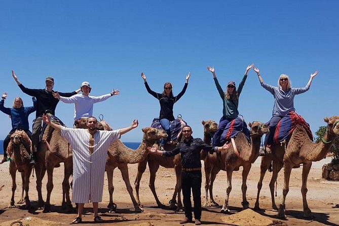 From Tarifa to Tangier: Exclusive Trip, Camel Ride, Lunch & Ferry - Why This Tour Offers Great Value