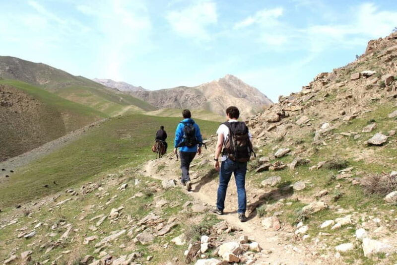 From Tashkent: 11-Day Uzbekistan Hiking Tour - From Samarkand to the Mountain Yurt Camp