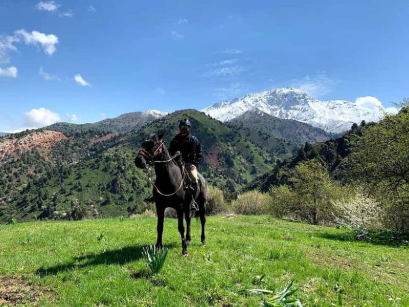 From Tashkent: Chimgan Valley Hiking Day Trip - What’s Included and What’s Not?