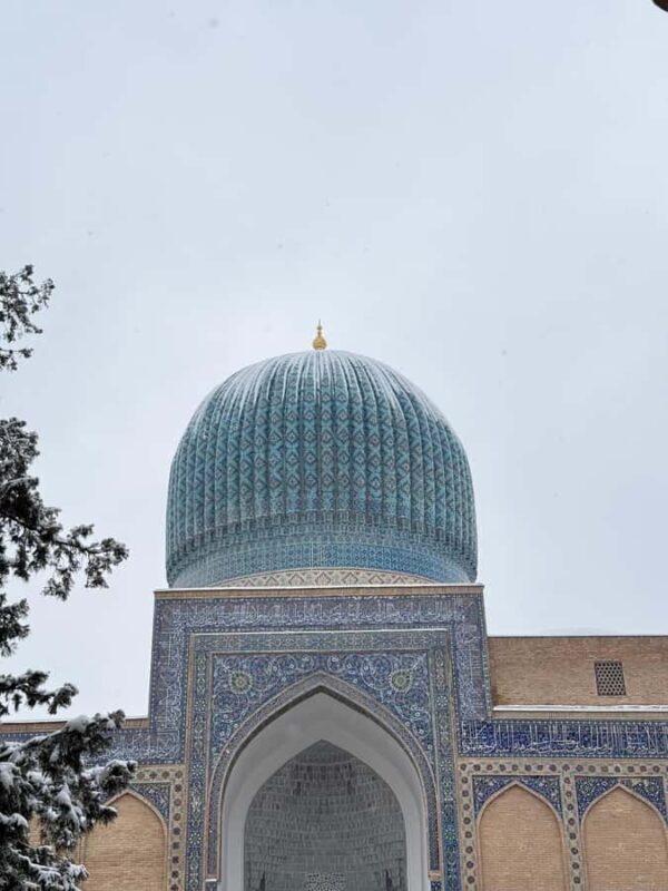 From Tashkent: Samarkand & Shahrisabz 2-Day Tour with Guide - Exploring the Itinerary in Detail