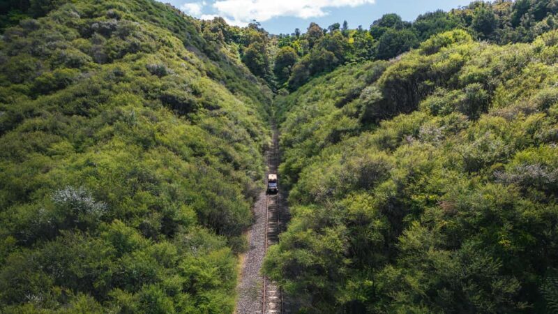From Taumarunui: The Republic Rail Cart Adventure - Key Points