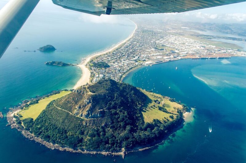 From Tauranga: Skydive over Mount Maunganui - The Freefall: Pure Adrenaline