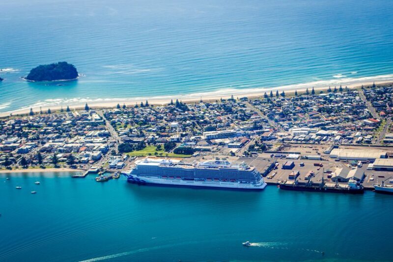 From Tauranga: Skydive over Mount Maunganui - What Reviewers Say