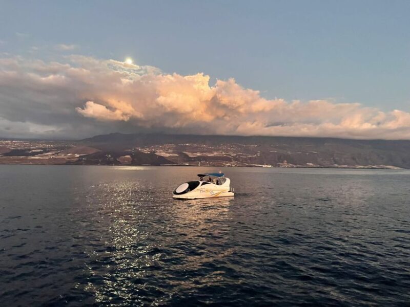 From Tazacorte: Discover the Northwest Coast by Speedy Yacht - Who Will Love This Tour?
