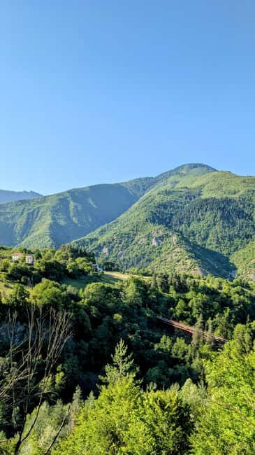 From Tbilisi: Bakuriani 1-Day Eco Tour by Electric Car - Value and Overall Impression