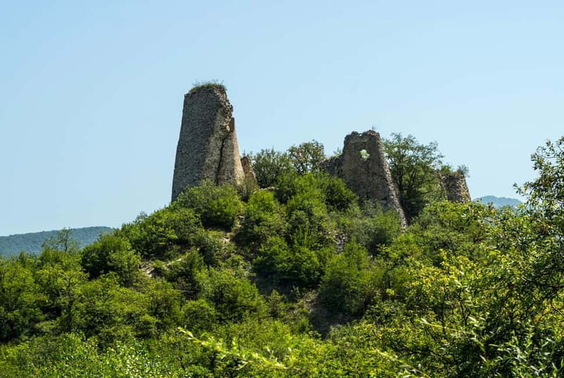 From Tbilisi: Bodbe, Sighnaghi & Kakheti Guided Day Trip - What to Expect from This Full-Day Journey