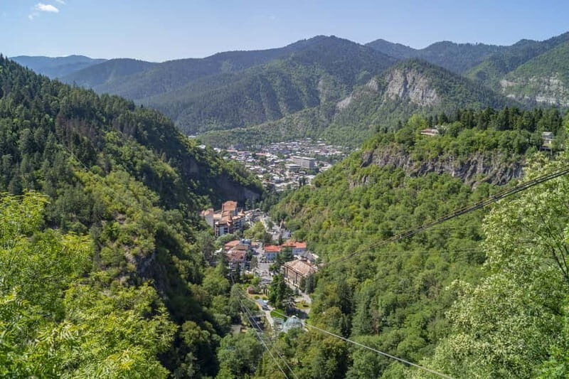From Tbilisi: Borjomi, Rabati Castle & Vardzia Cave Day Tour - Transportation and Guide Experience