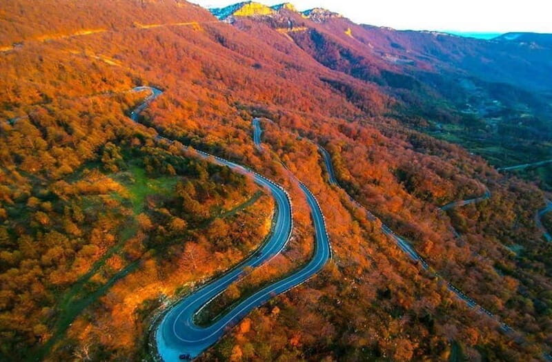 From Tbilisi: Kakheti, Bodbe, Sighnaghi, & Telavi Day Tour - Authentic Experiences and Hidden Gems