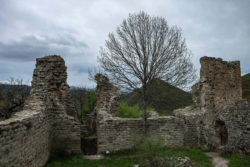From Tbilisi: Kakheti, Bodbe, Sighnaghi, & Telavi Tour - FAQ