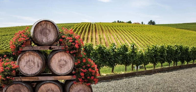From Tbilisi: Kakheti Day Trip with Wine Tasting & Lunch - Authentic Experiences and Unique Insights