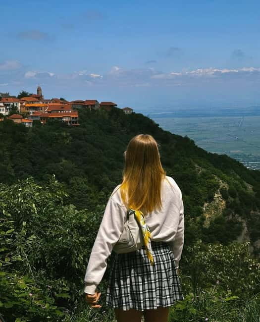From Tbilisi: Kakheti Wine Region Tour with 9 Wine Tastings - Practical Details and Tips