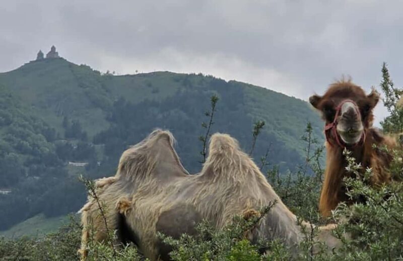 From Tbilisi: Kazbegi Private Tour with 4x4 and Waterfalls - Practicalities and Considerations