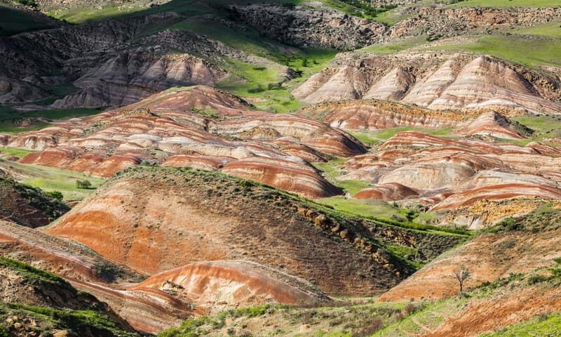 From Tbilisi: Rainbow Mountain & David Gareja Monastery Trip - What Sets This Tour Apart?