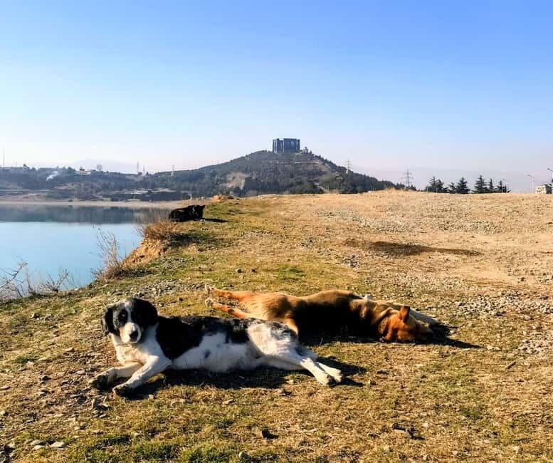 From Tbilisi: Sabaduri, Bears, Jvari & Chronicle of Georgia - FAQ about the Tour  