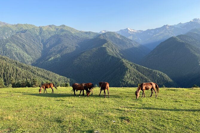 from-tbilisi-svaneti-4-days-private-tour-mestia-ushguli