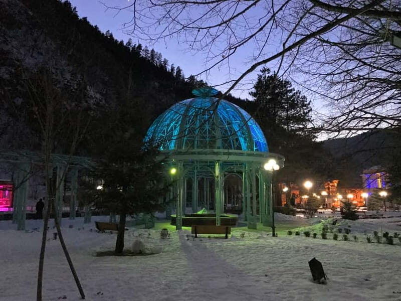 From Tbilisi: Vardzia, Rabati, and Borjomi Private Tour - What Travelers Say