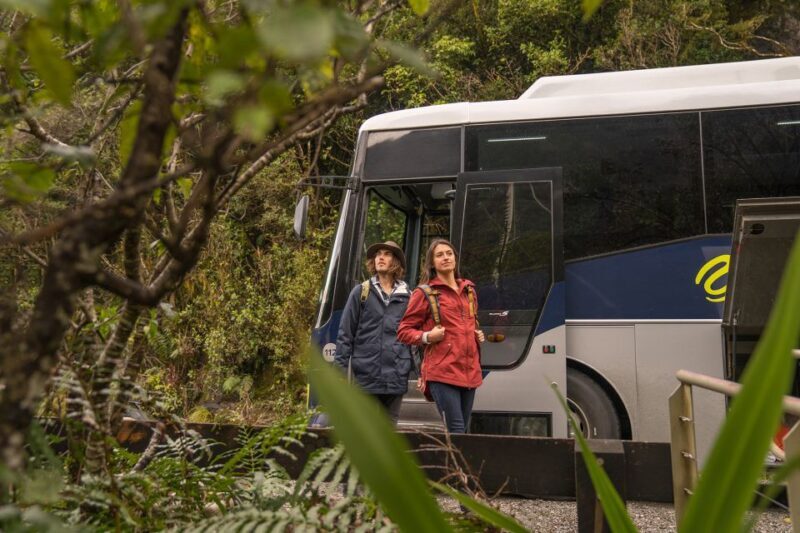 From Te Anau: Doubtful Sound Coach & Cruise - Practicalities and Tips
