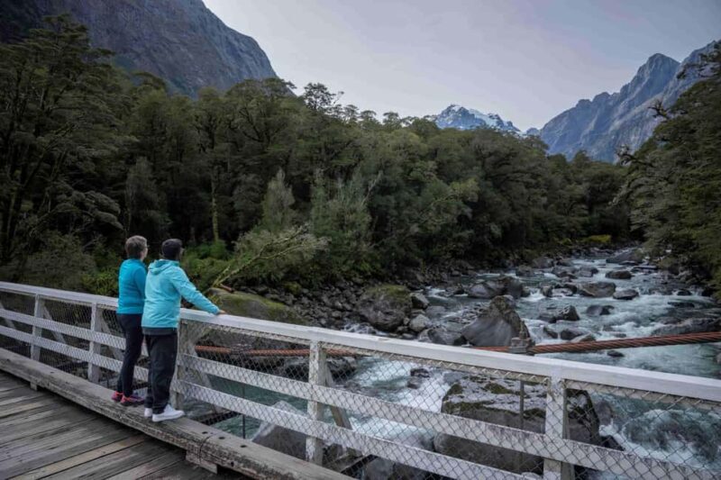 From Te Anau: Milford Sound Coach, Cruise, and Walks - Transport & Itinerary: Comfort Meets Convenience