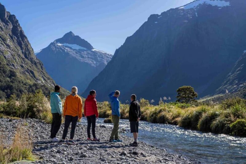 From Te Anau: Milford Sound Coach, Cruise, and Walks - Milford Sound Cruise: Marine Life & Waterfalls Up Close
