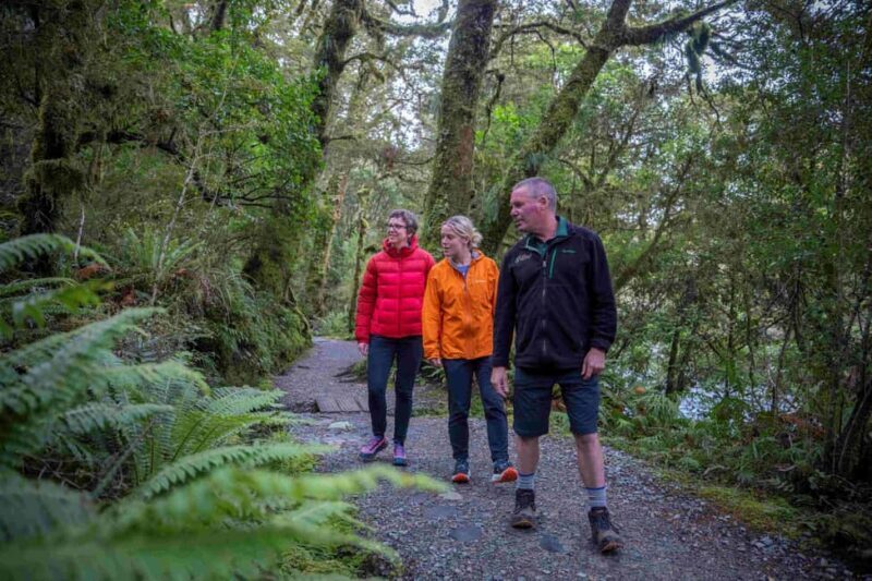 From Te Anau: Milford Sound Coach, Cruise, and Walks - Who Will Love This Tour?