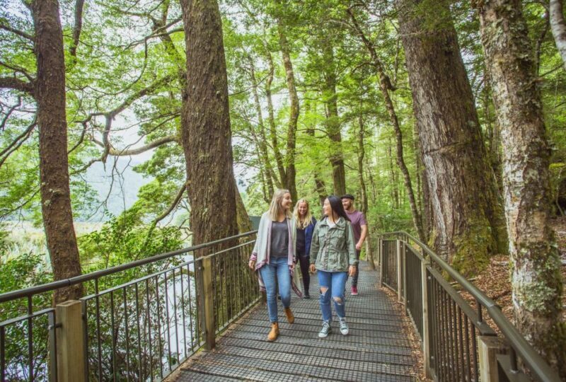 From Te Anau: Milford Sound Coach Tour and Cruise - Key Points